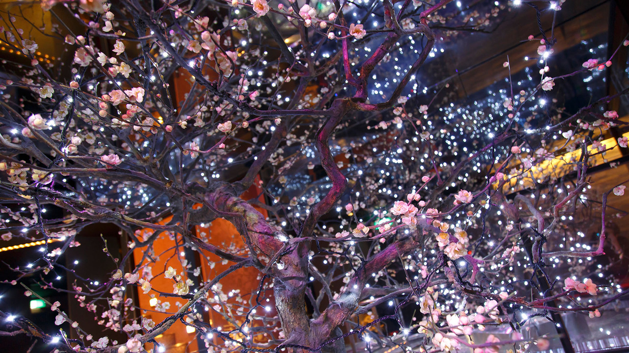 ウメ子の家の事業内容の写真3枚目