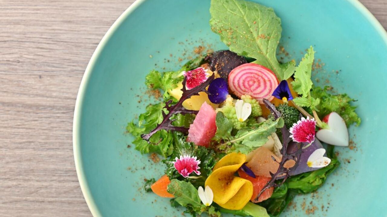 THE HARBOR TERRACEのこだわりポイントの写真1枚目