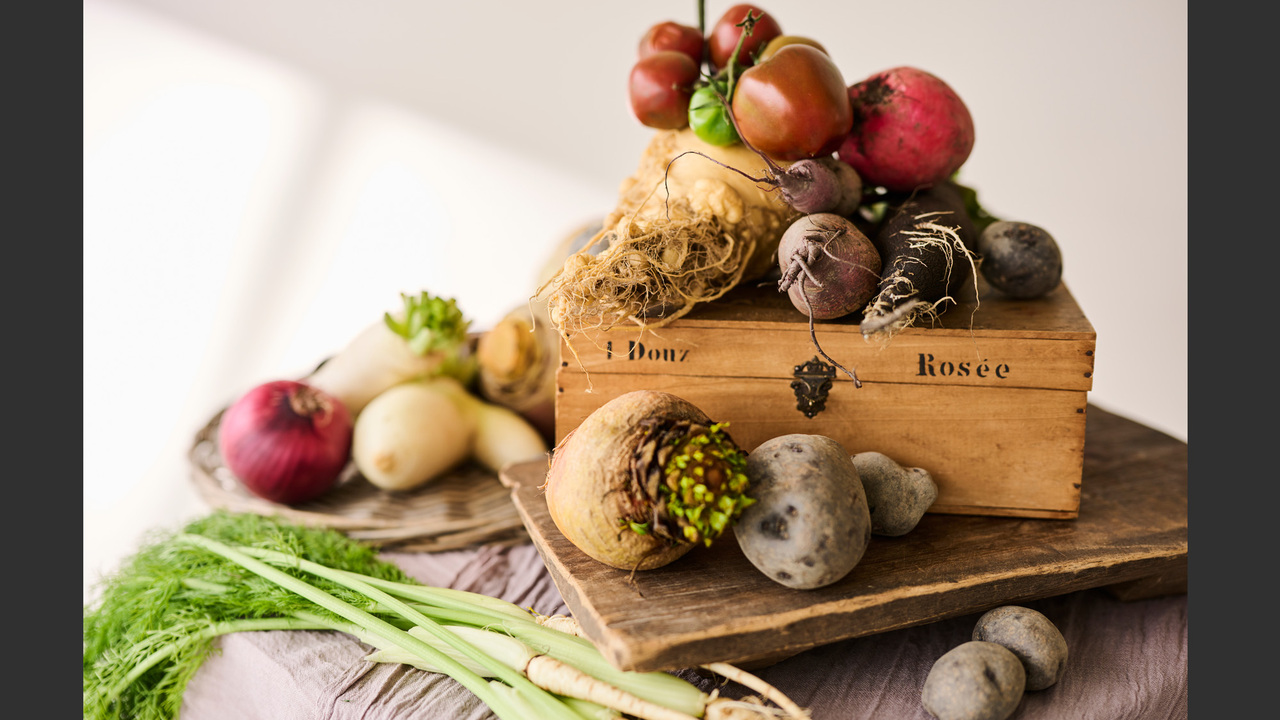 ヒルトップリゾート山の上の事業内容の写真2枚目