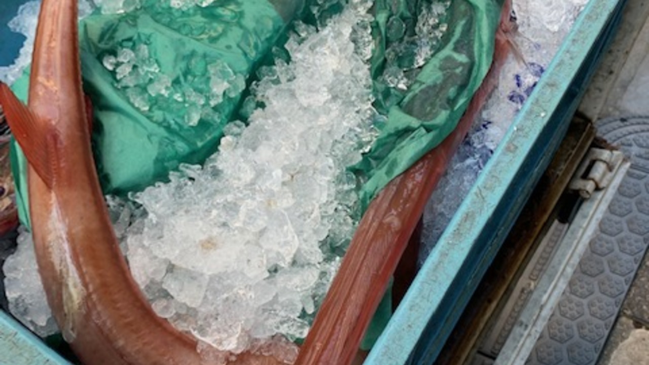 居酒屋松竹梅の事業内容の写真4枚目