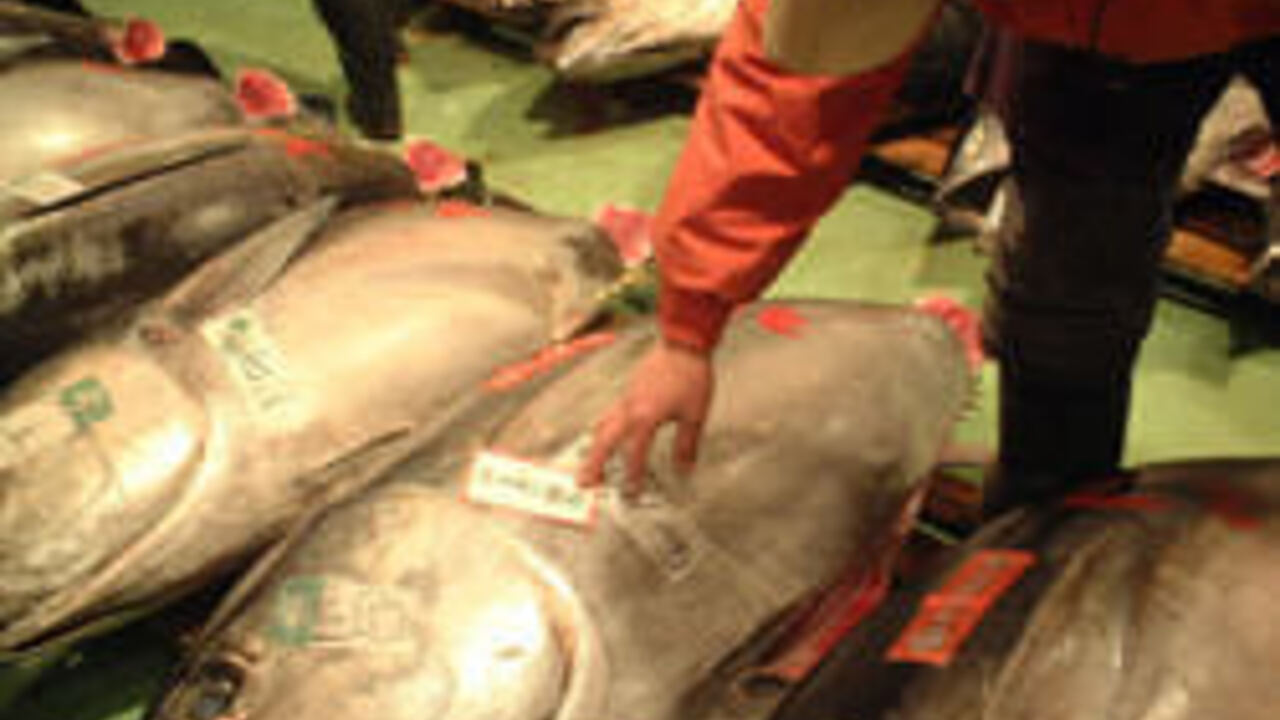 うまい鮨勘のこだわりポイントの写真1枚目