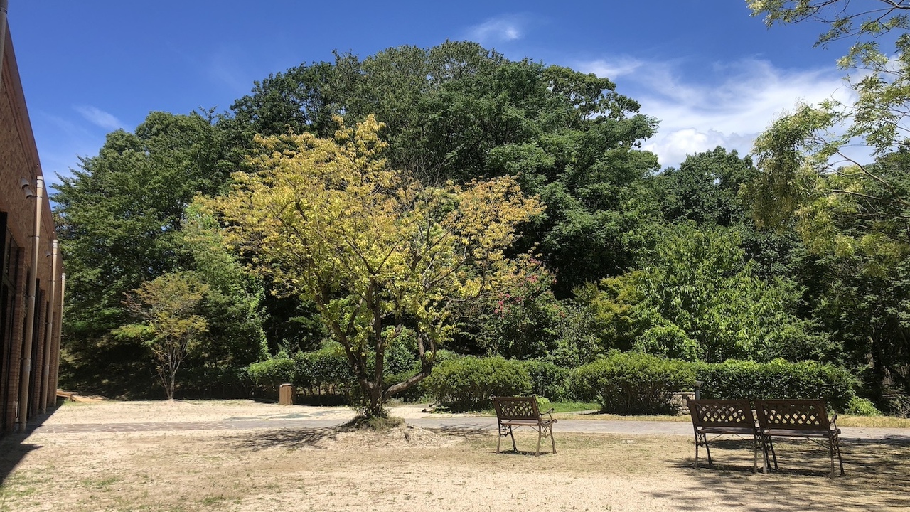 Vegan Restaurant Suiのこだわりポイントの写真4枚目