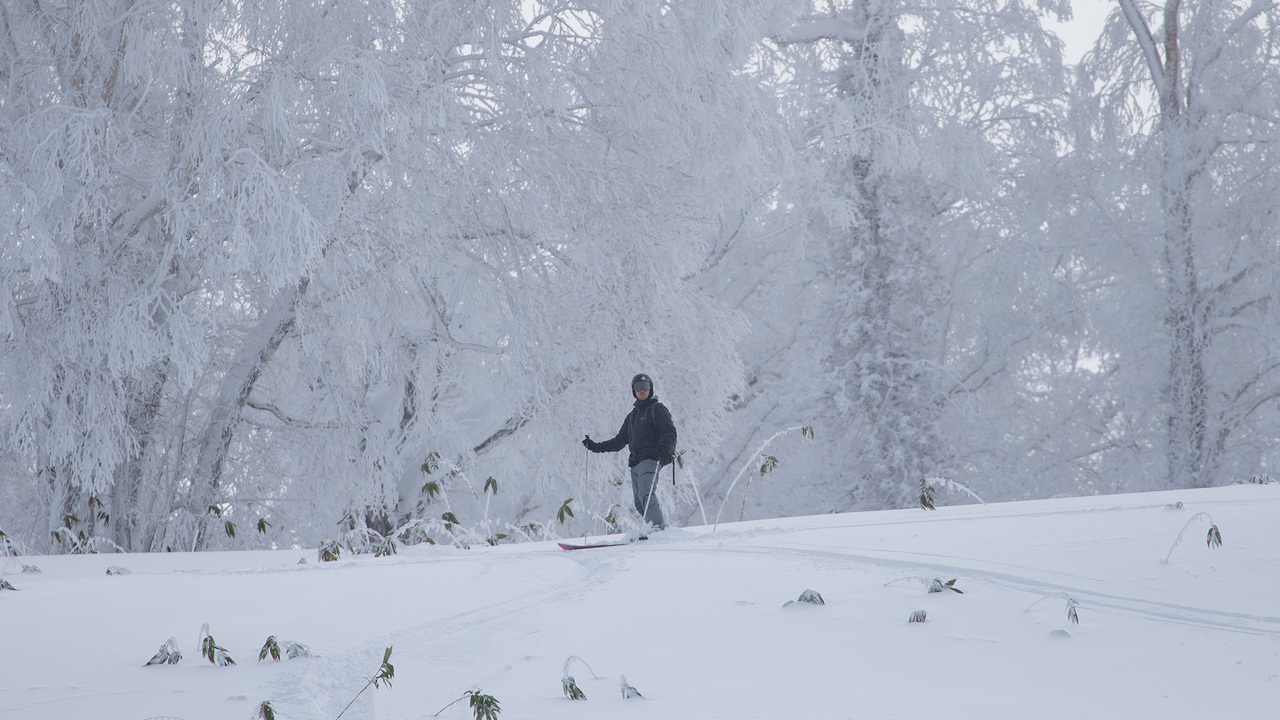 aaaで働く人の写真3枚目