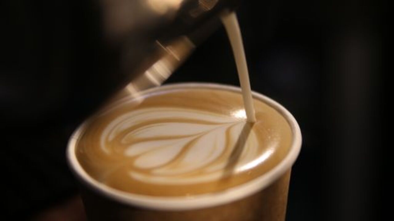 Anchor Point の事業内容の写真4枚目