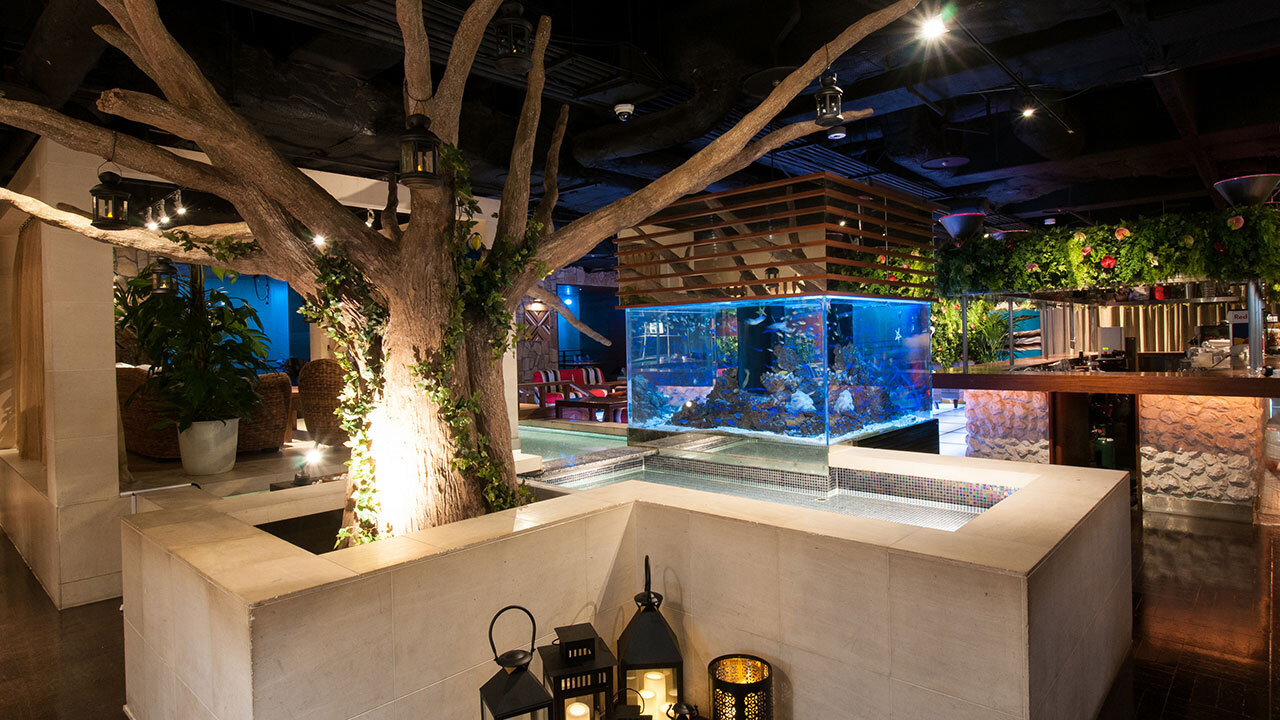 Boraboraの事業内容の写真4枚目