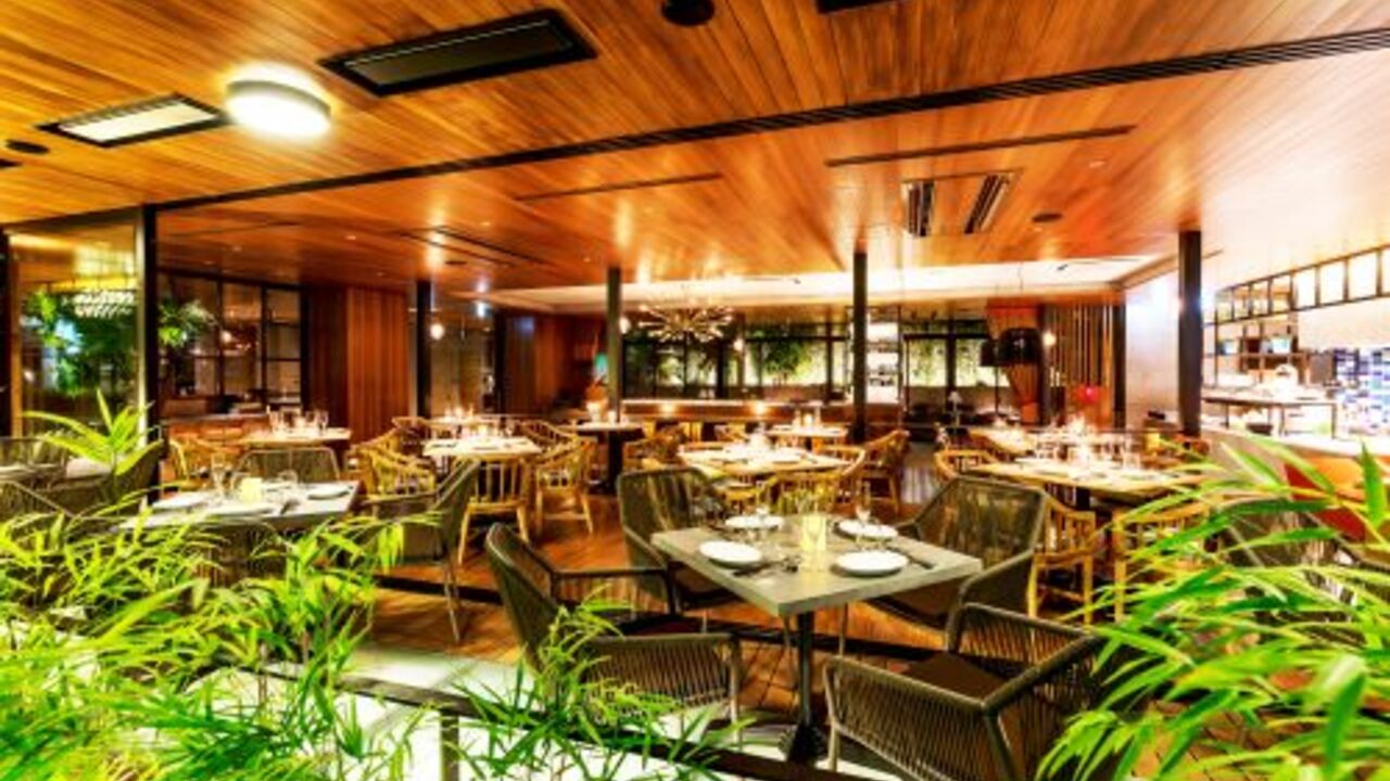 THE TENDER HOUSEの事業内容の写真1枚目