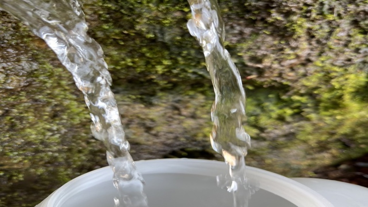 炭火焼き鳥 鶏尽のこだわりポイントの写真3枚目