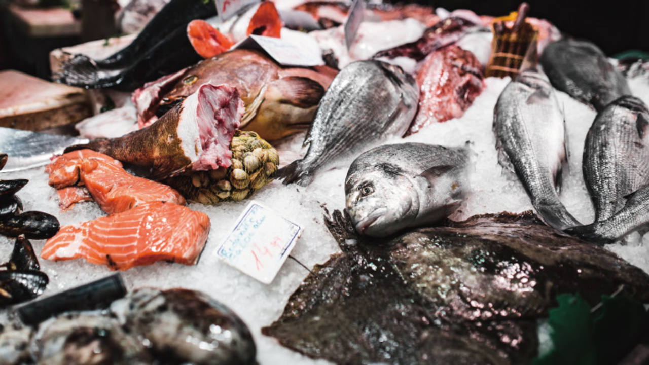 陶々亭 / HAJIMEのこだわりポイントの写真3枚目