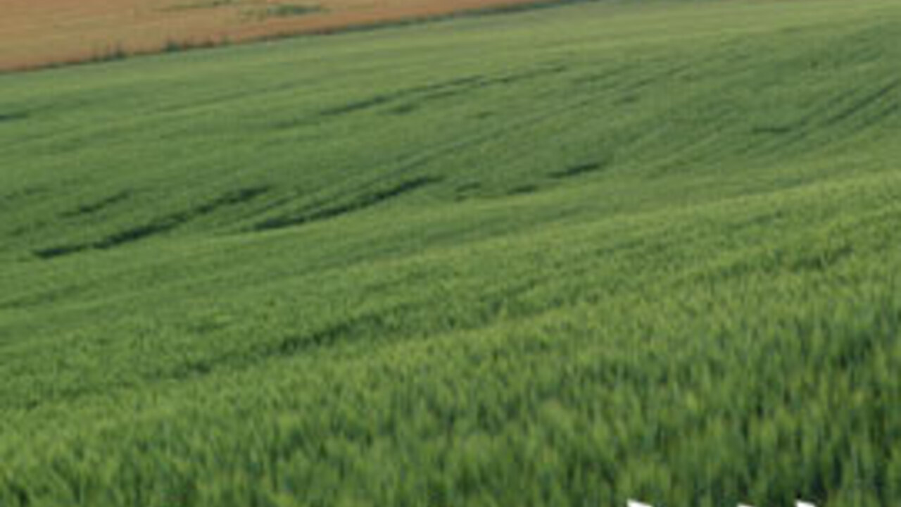 豚料理　田の事業内容の写真4枚目