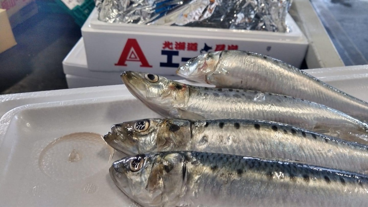 やえす初藤のこだわりポイントの写真3枚目