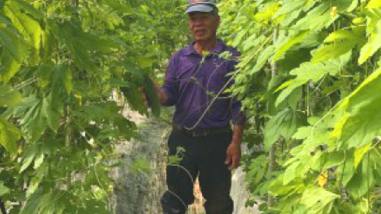 沖縄食堂　やんばるのこだわりポイントの写真2枚目