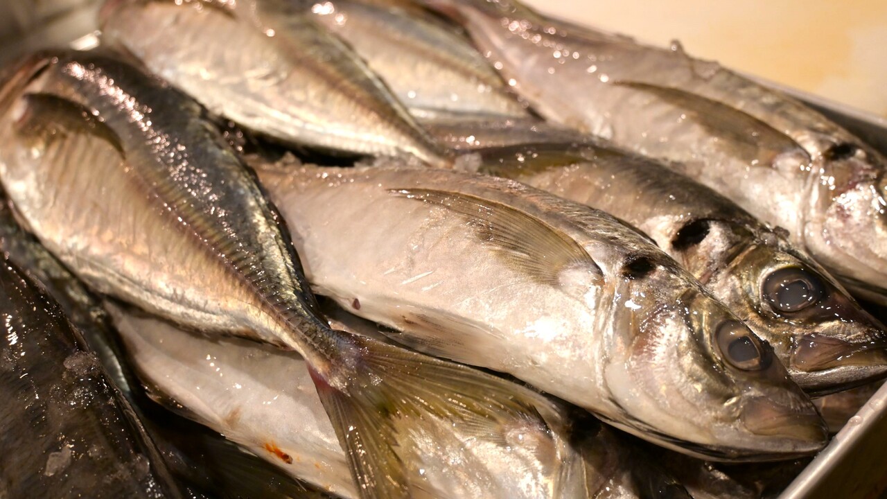 産直青魚専門 御厨の事業内容の写真2枚目