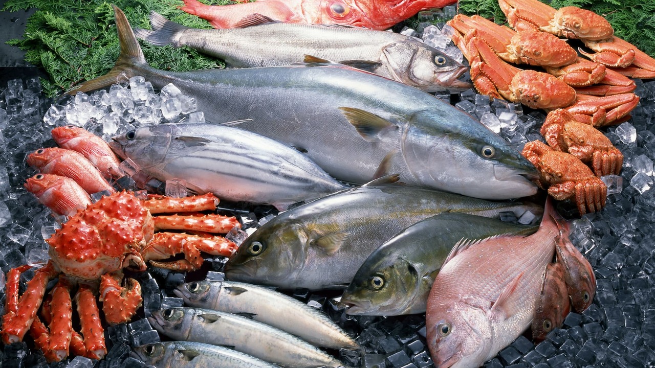 北陸富山回転寿司　PREMIUM海王のこだわりポイントの写真1枚目