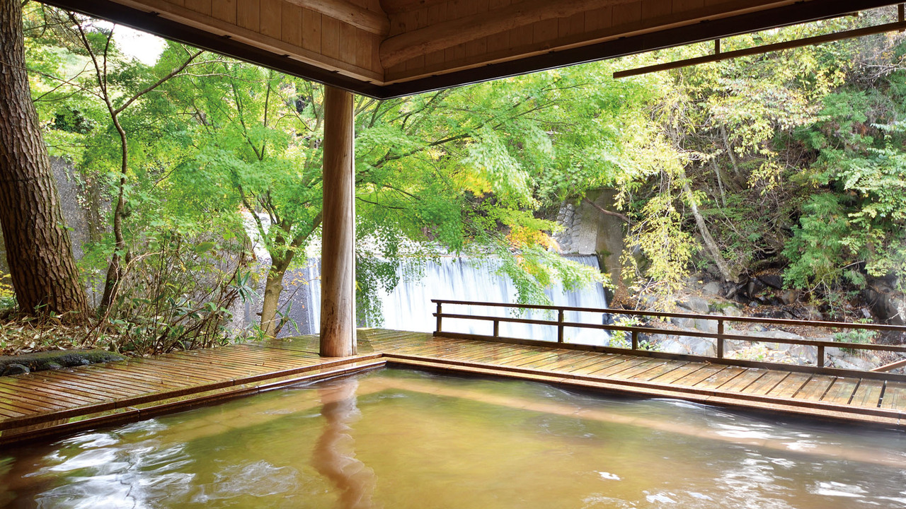 かやぶきの郷 薬師温泉 旅籠の事業内容の写真4枚目