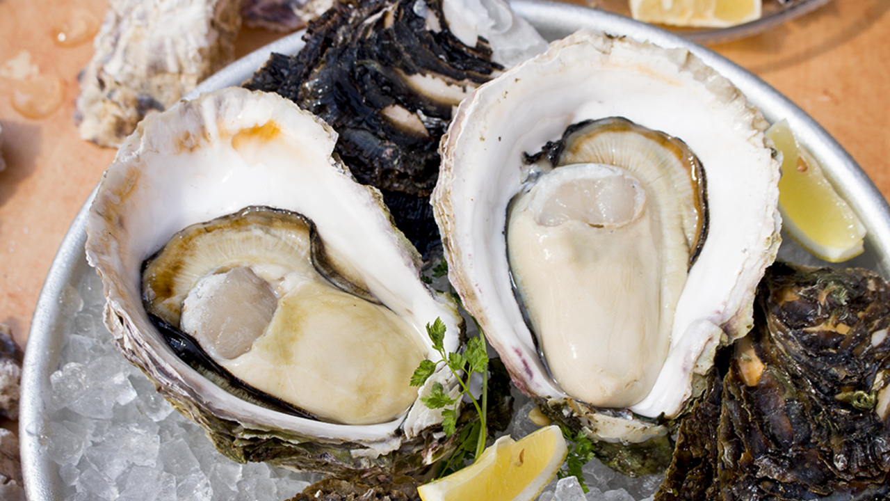 PESCADERIA(ペスカデリア)のこだわりポイントの写真1枚目