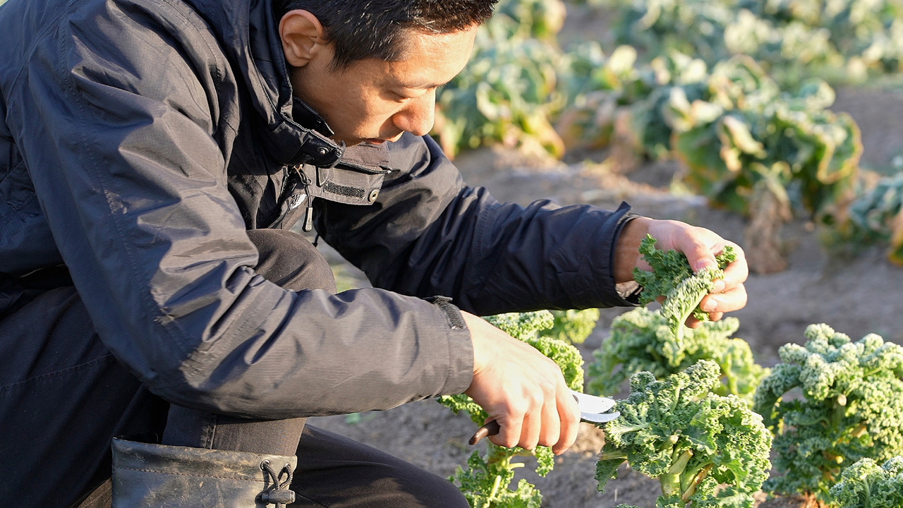 ENOWA YUFUINの事業内容の写真1枚目