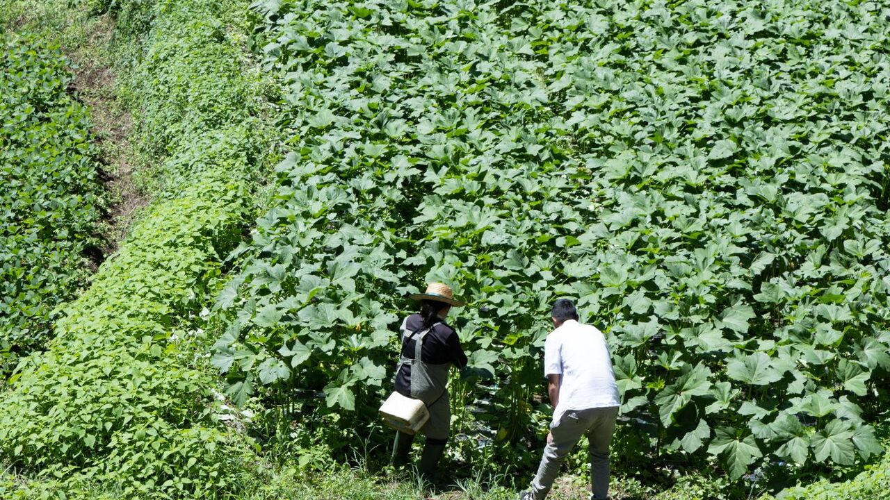ENOWA YUFUINの事業内容の写真4枚目