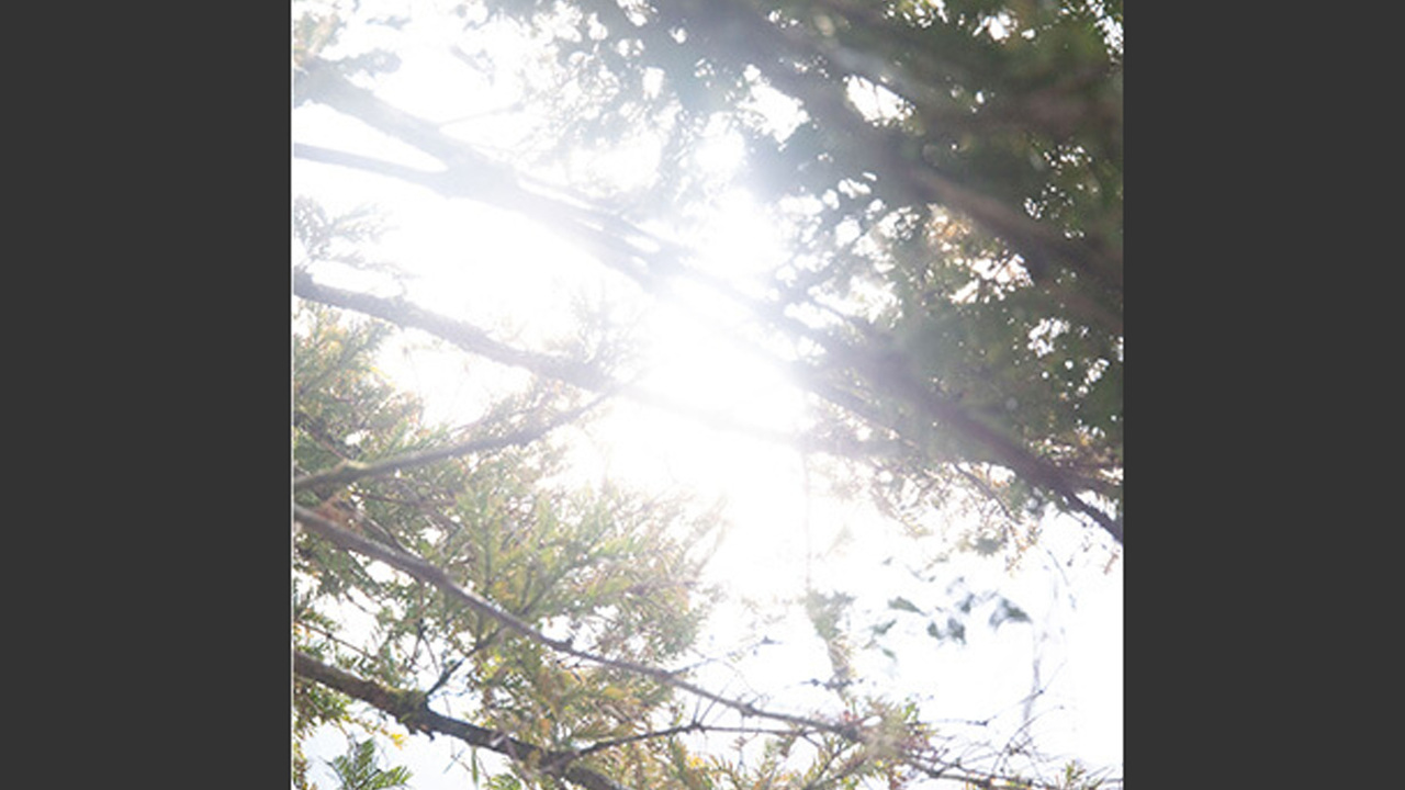 湯布院温泉 美星で働く人の写真1枚目