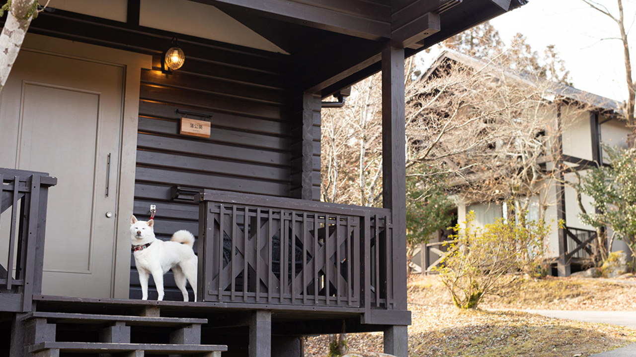 小田温泉 花心の事業内容の写真3枚目