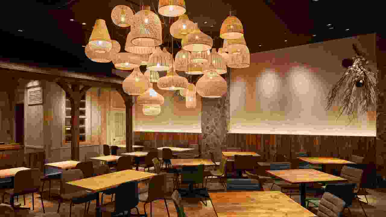 VEGEGOの事業内容の写真1枚目