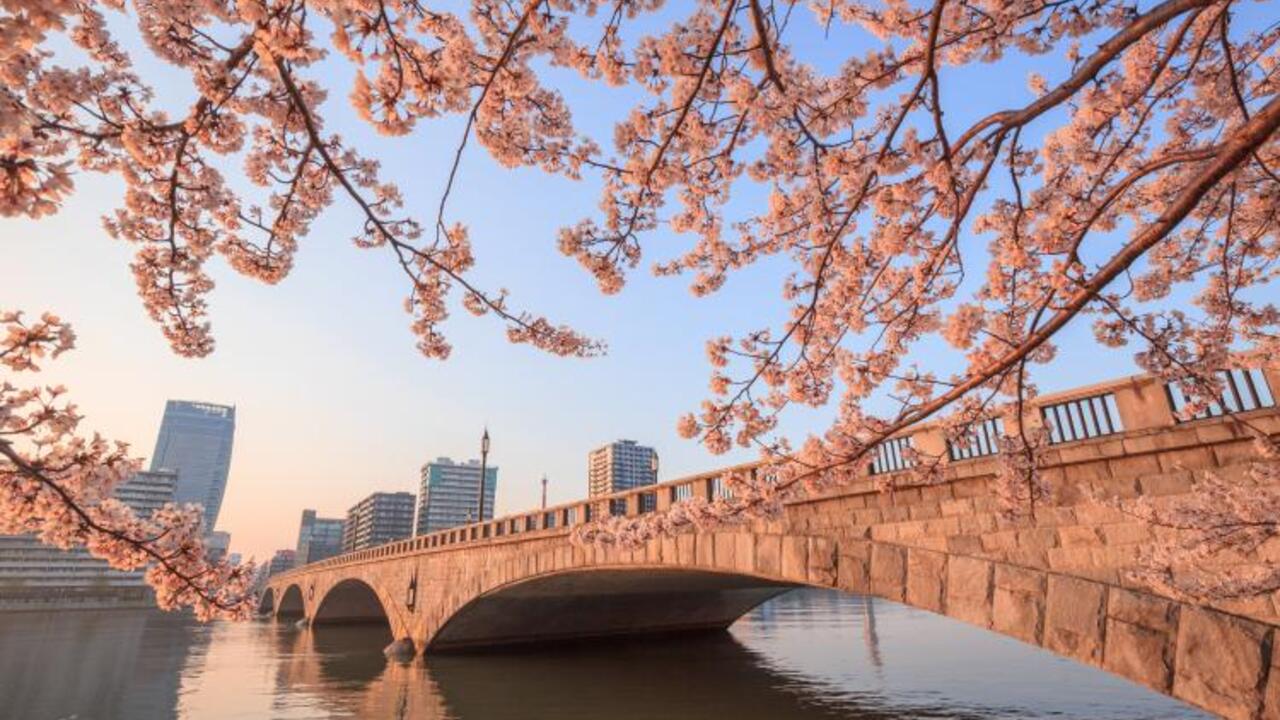 新潟カツ丼 タレカツの事業内容の写真3枚目