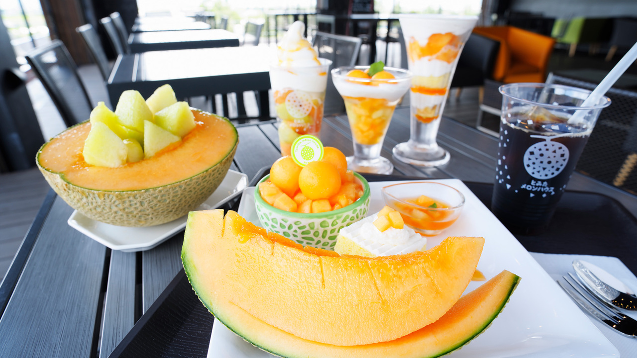 とみたメロンハウスの事業内容の写真1枚目