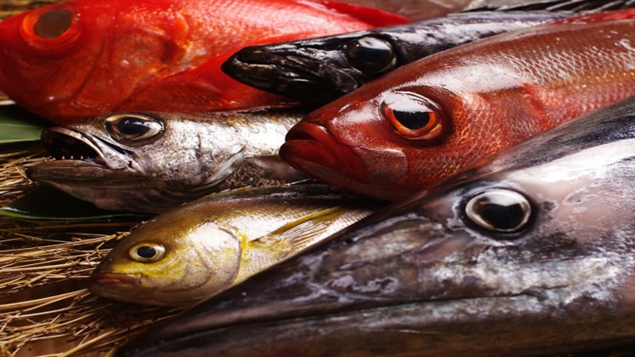 銀座船形の事業内容の写真1枚目