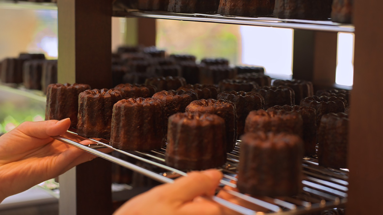 LE TREIZEのこだわりポイントの写真1枚目