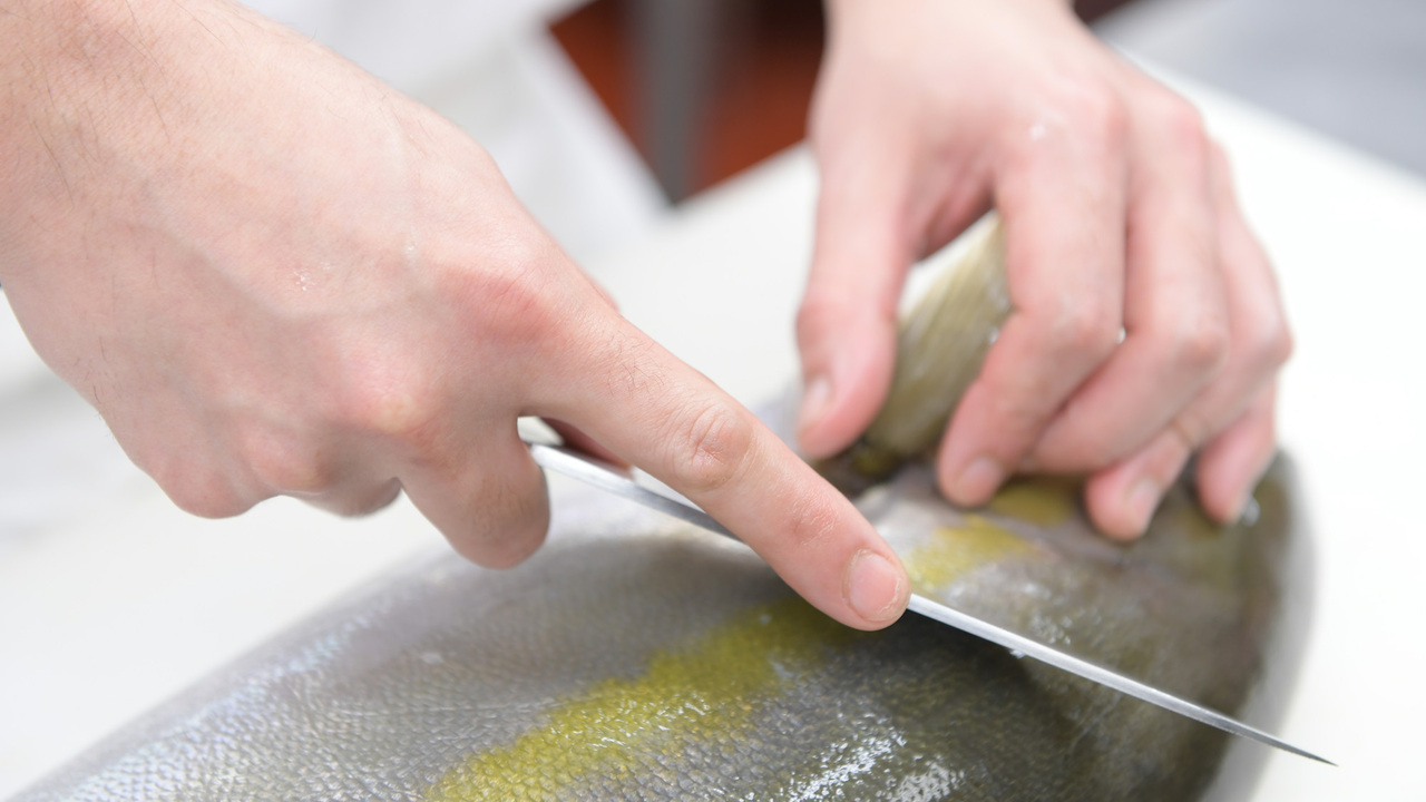 まぐろ問屋 三浦三崎港の事業内容の写真3枚目