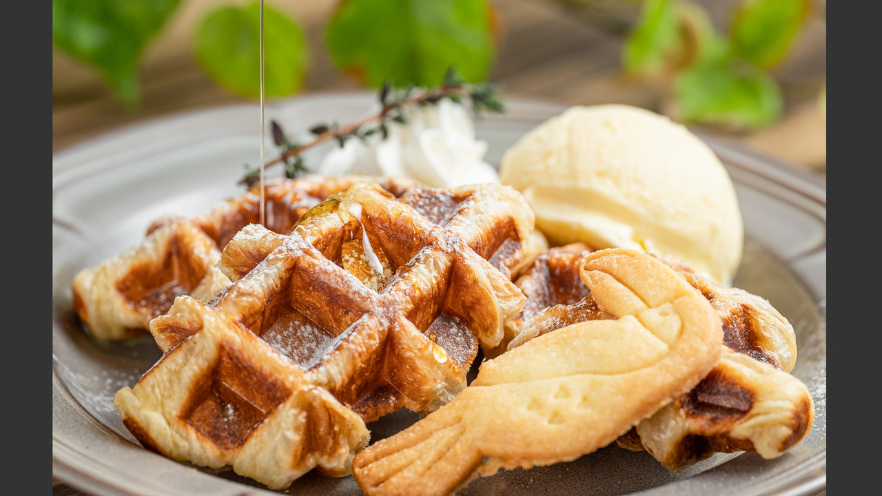 カワスイ 川崎水族館のこだわりポイントの写真1枚目
