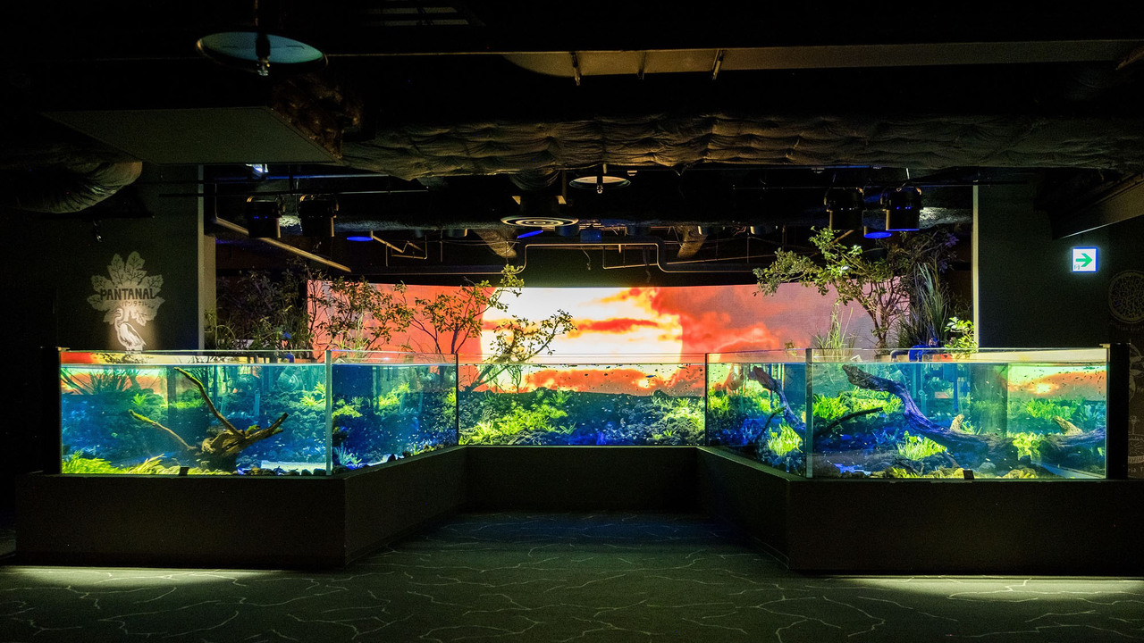 カワスイ 川崎水族館の事業内容の写真1枚目