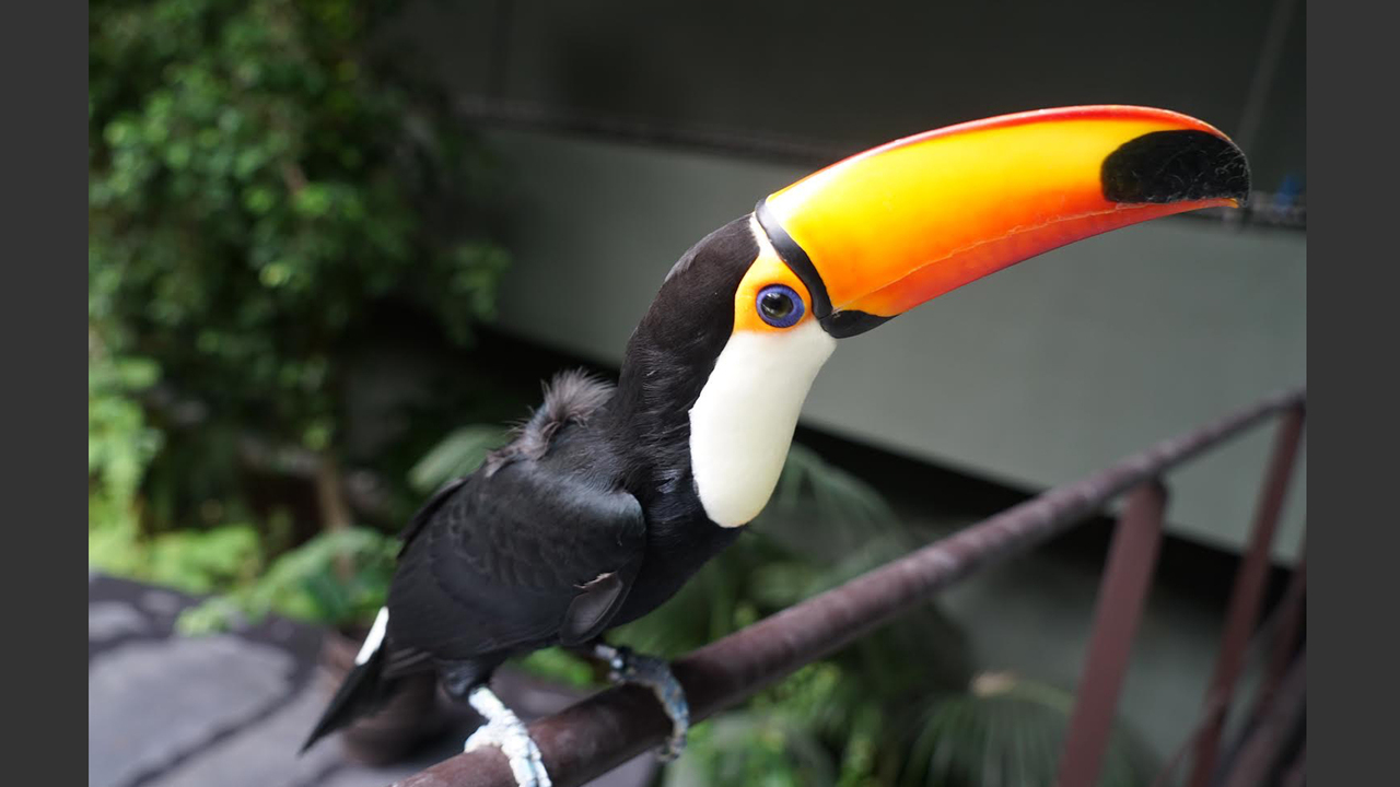カワスイ 川崎水族館の事業内容の写真3枚目