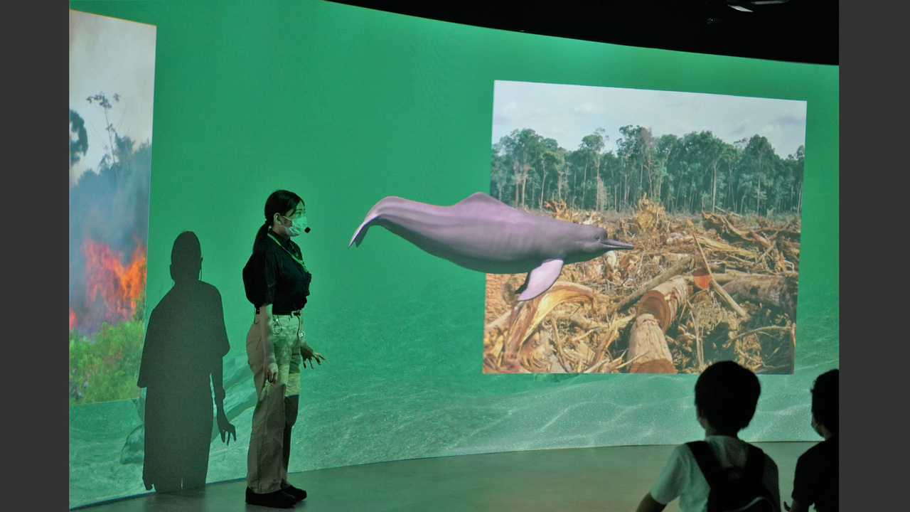 カワスイ オフィシャルショップの事業内容の写真3枚目