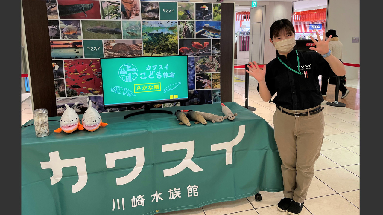 カワスイ オフィシャルショップで働く人の写真2枚目