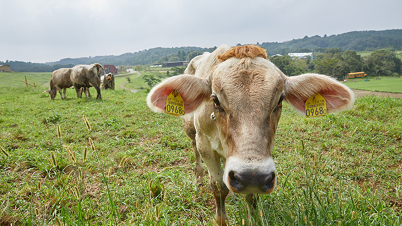 株式会社KURKKU FIELDSの会社TOPの写真3枚目