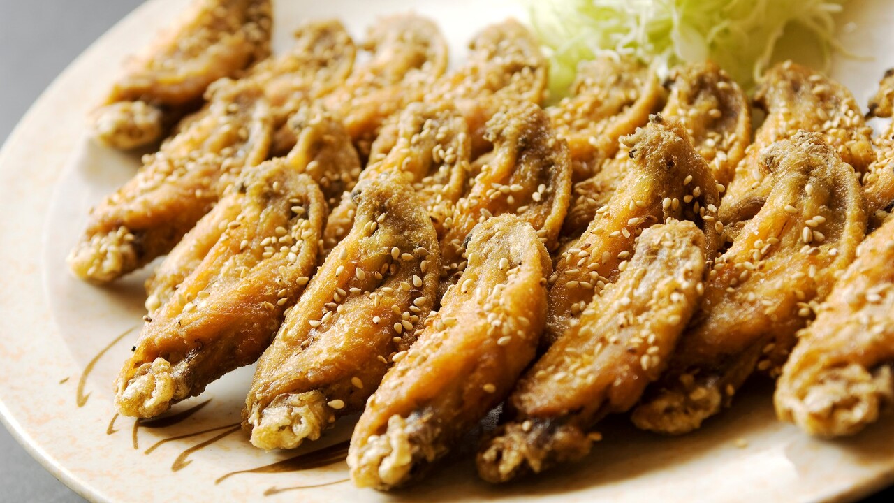 株式会社WINGMODELの事業内容の写真1枚目