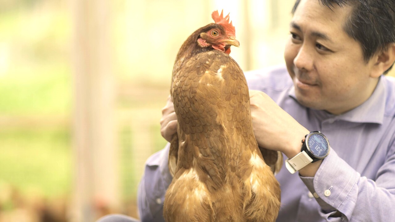 株式会社ツマミナのこだわりポイントの写真1枚目