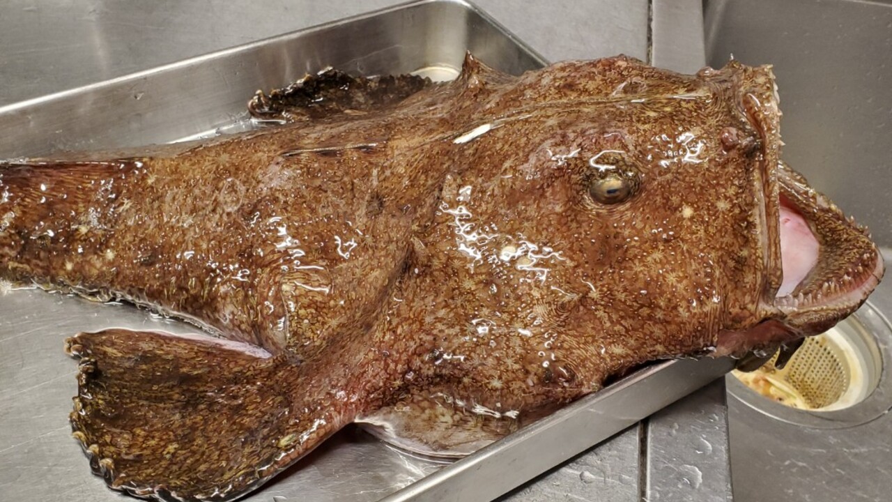 株式会社ゆうじろうのこだわりポイントの写真3枚目