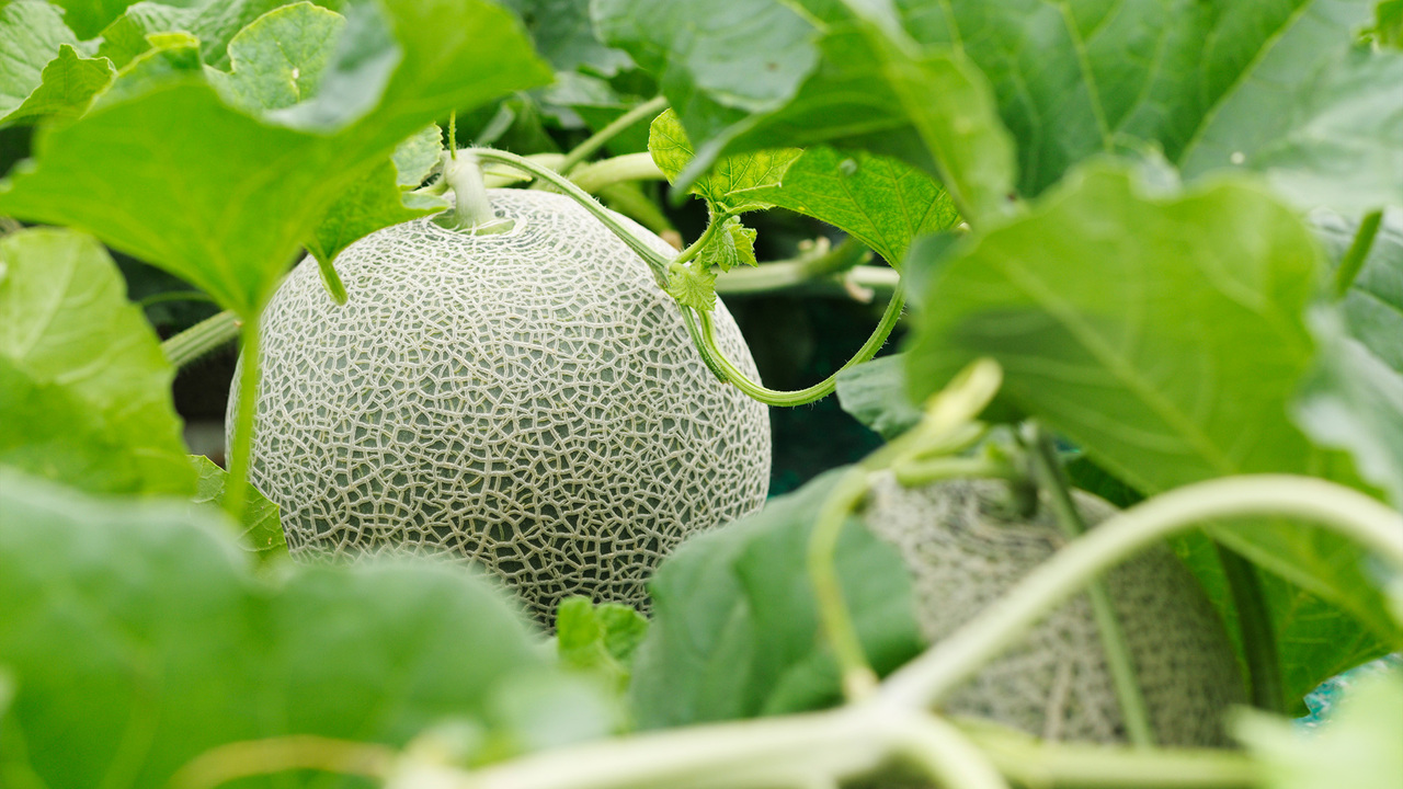 株式会社レブニーズのこだわりポイントの写真4枚目