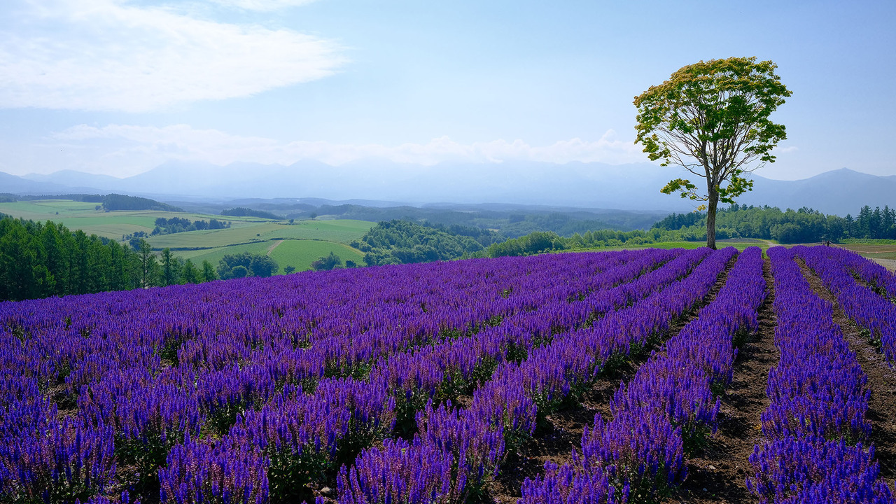 株式会社レブニーズの会社TOPの写真4枚目