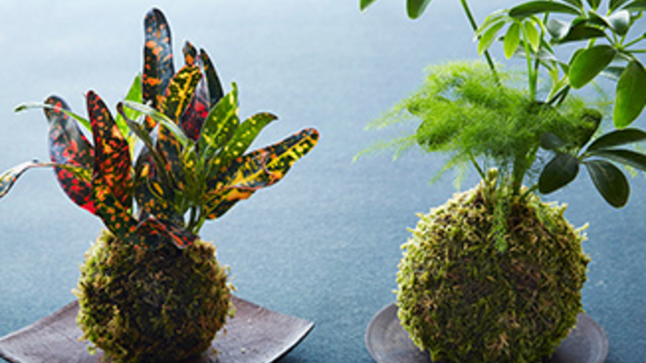 株式会社FIREWORKで働く人の写真4枚目