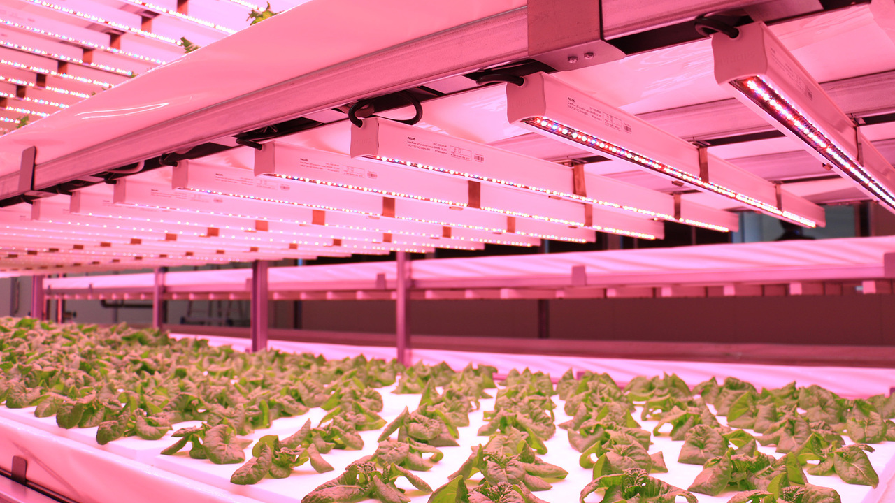 株式会社晃商の事業内容の写真4枚目