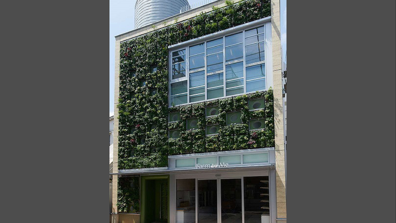 株式会社ナピネスの事業内容の写真1枚目