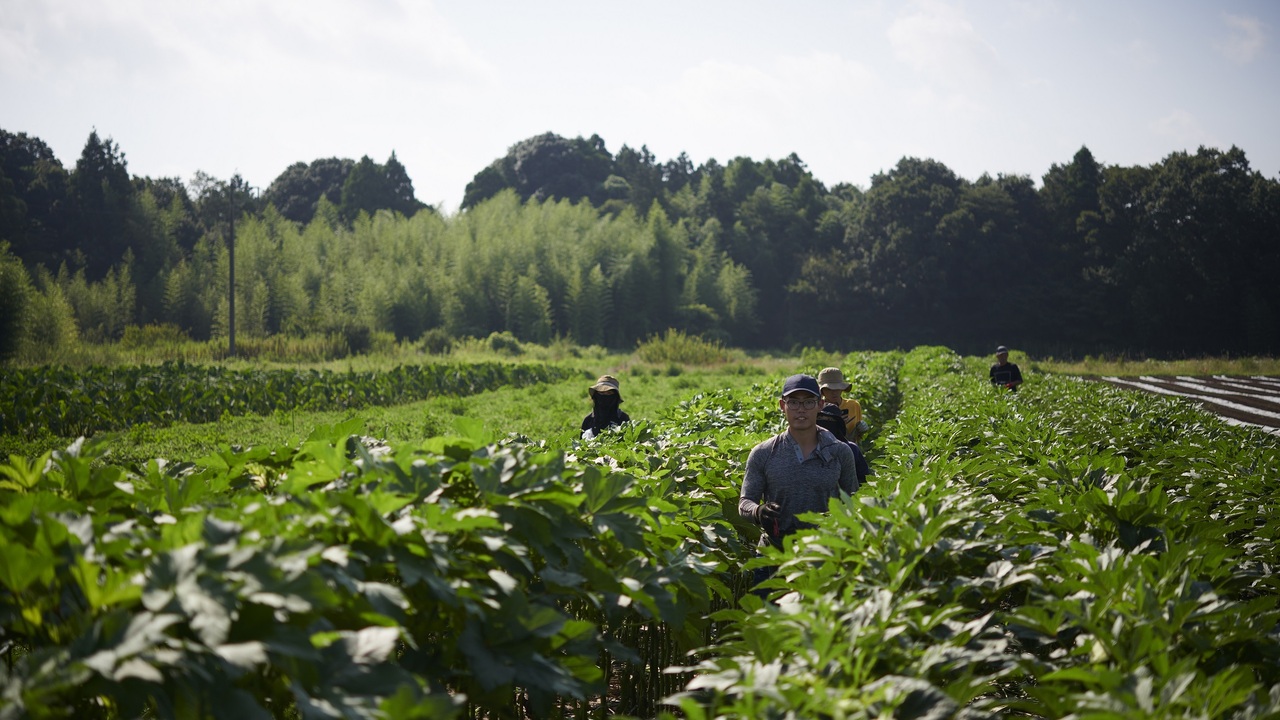 株式会社ナピネスの事業内容の写真4枚目