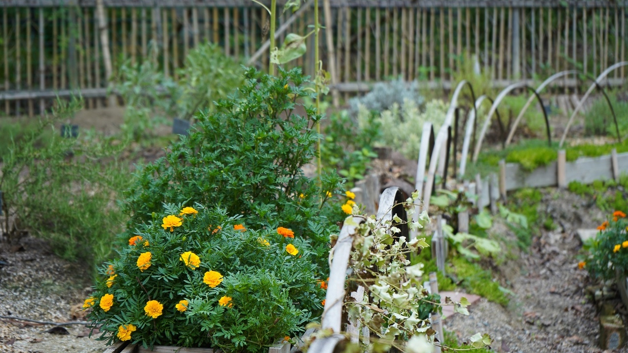 株式会社前田組の事業内容の写真4枚目