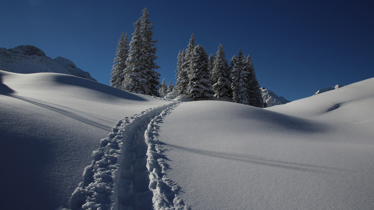 株式会社Asyatt.の会社TOPの写真2枚目