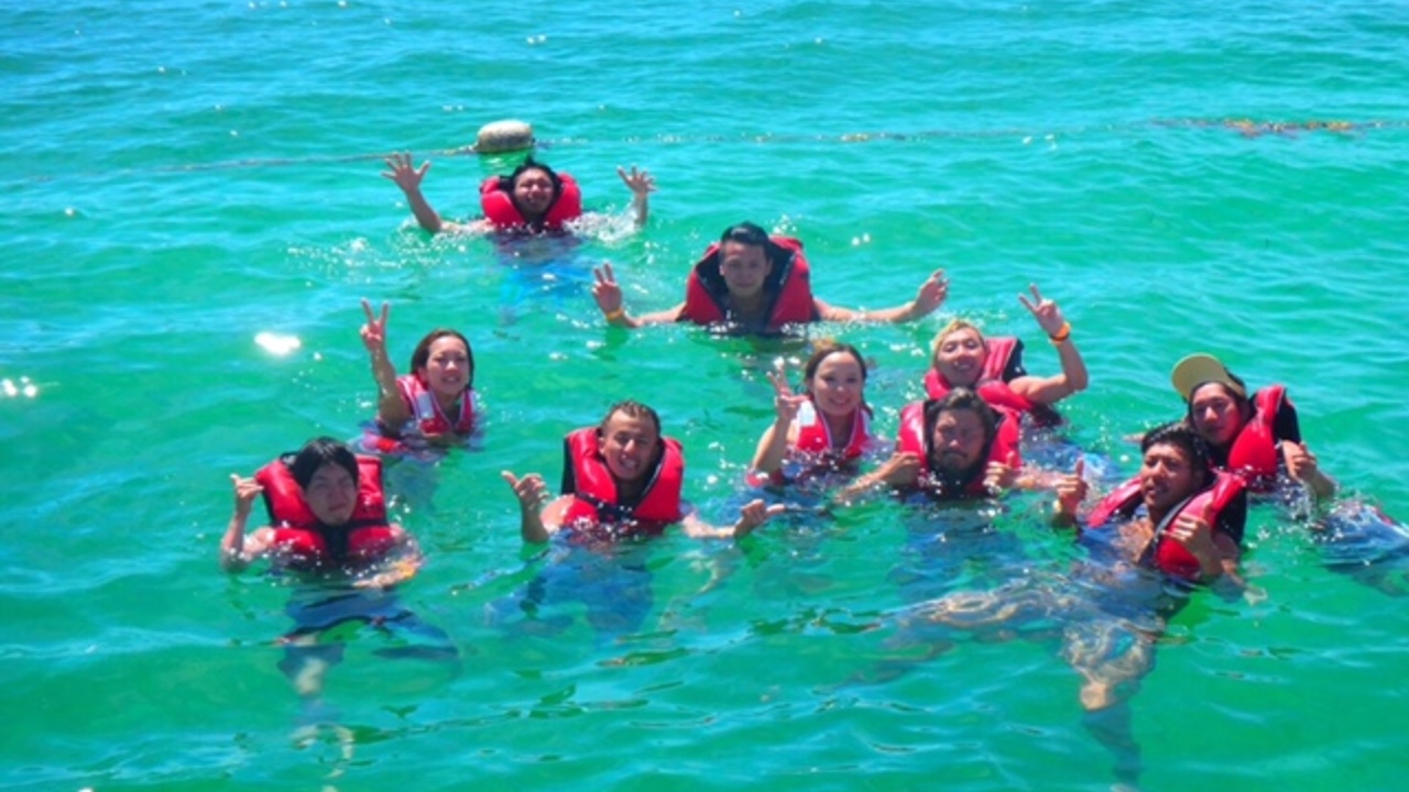 株式会社zingyの会社TOPの写真3枚目