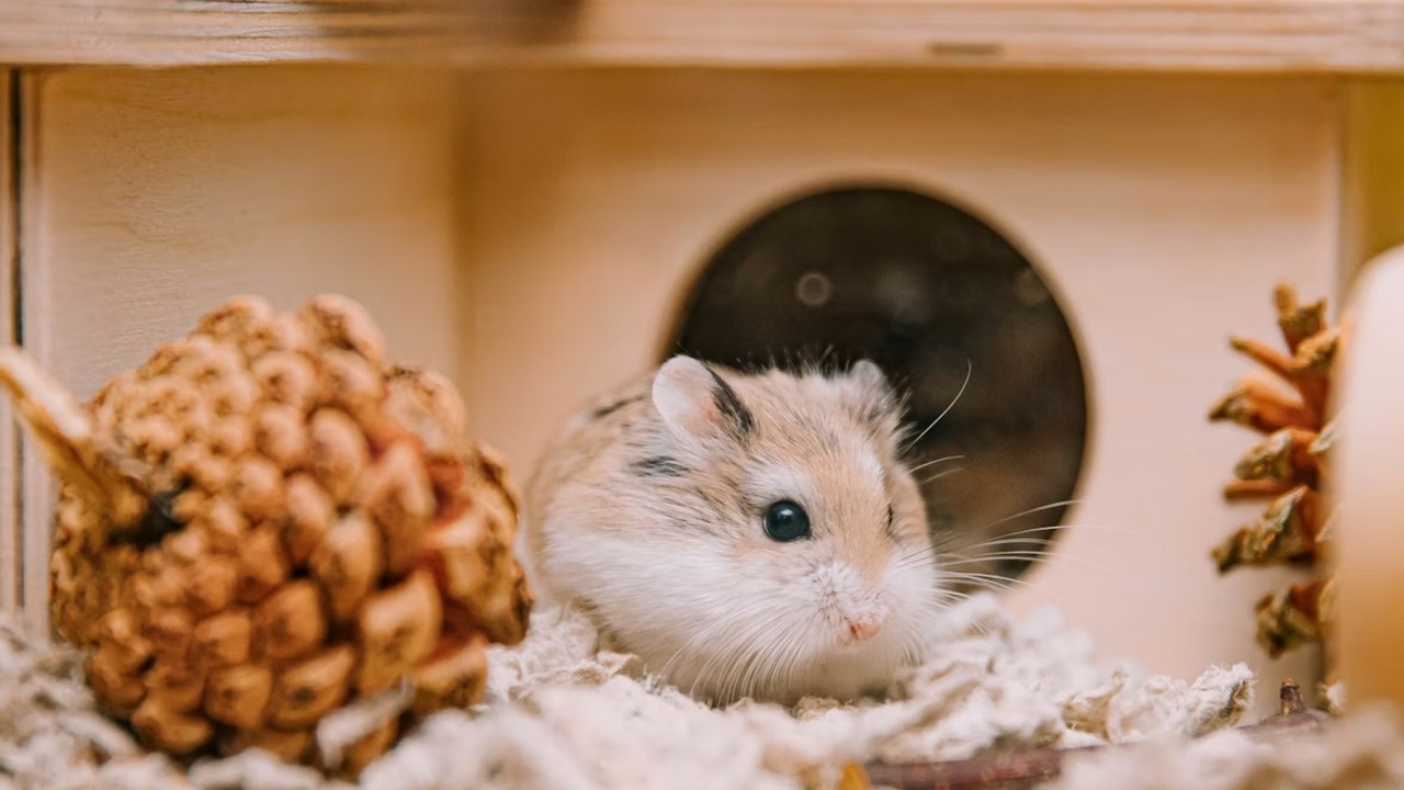ヒロセ|店長・店長候補の求人画像1枚目